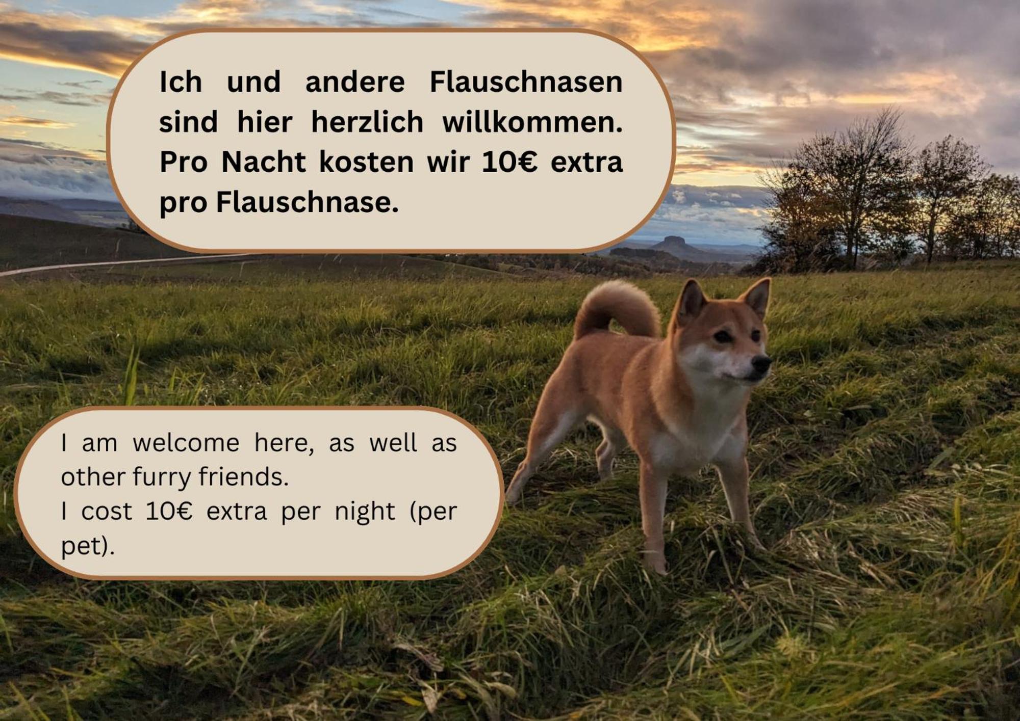 S3 - Urlaubsmagie - Fuer 4P Mitten Im Elbsandsteingebirge Sebnitz Exterior photo